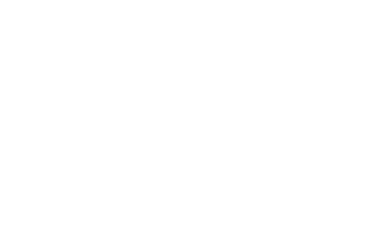 925 Partners Insurance Agency